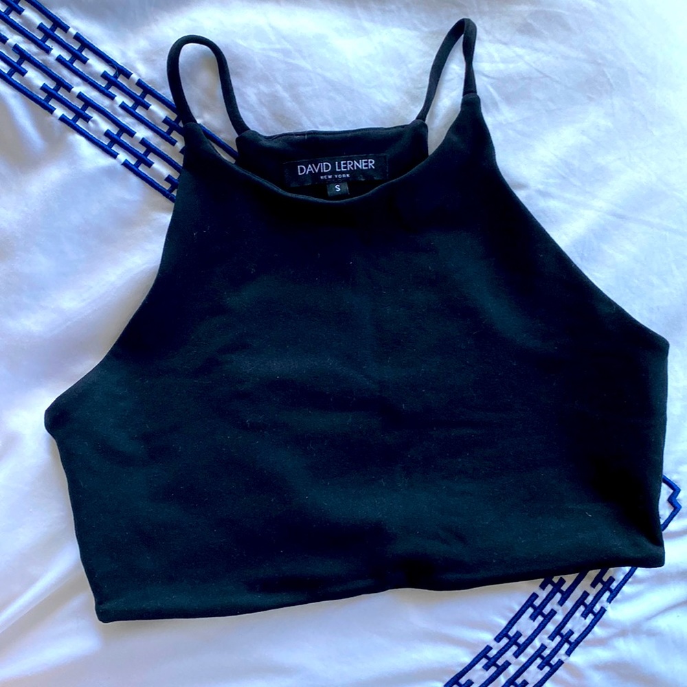Revolve David Lerner size small cropped top